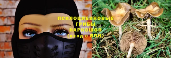 МДПВ Алексеевка
