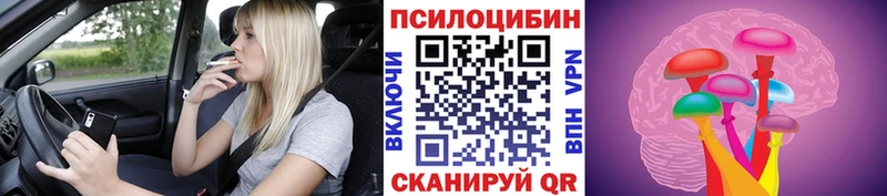 Галлюциногенные грибы Psilocybine cubensis  Харабали 